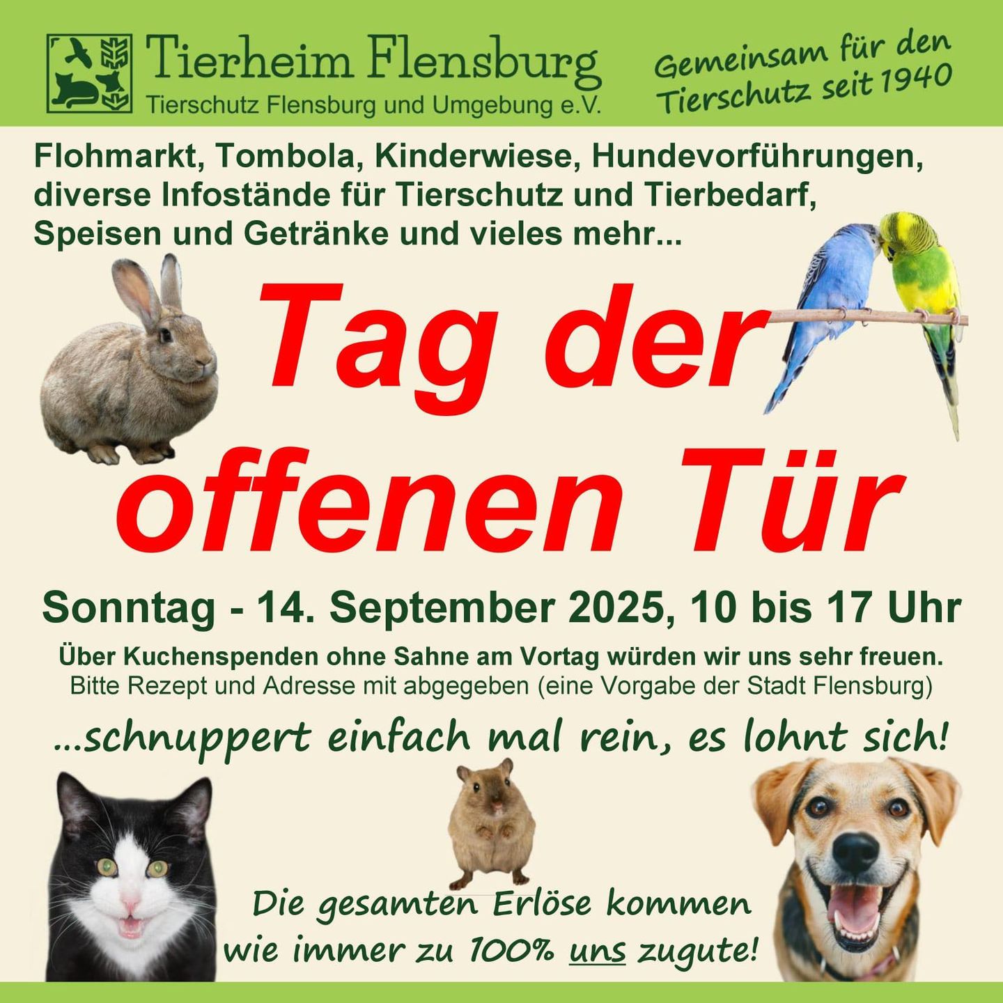 Der Tag der offenen Tür wird von den ehrenamtlichen Helfern des Tierheims Flensburg organisiert. Es gibt für die Besucher vielfältige Angebote zum Mitmachen und Gestalten.
