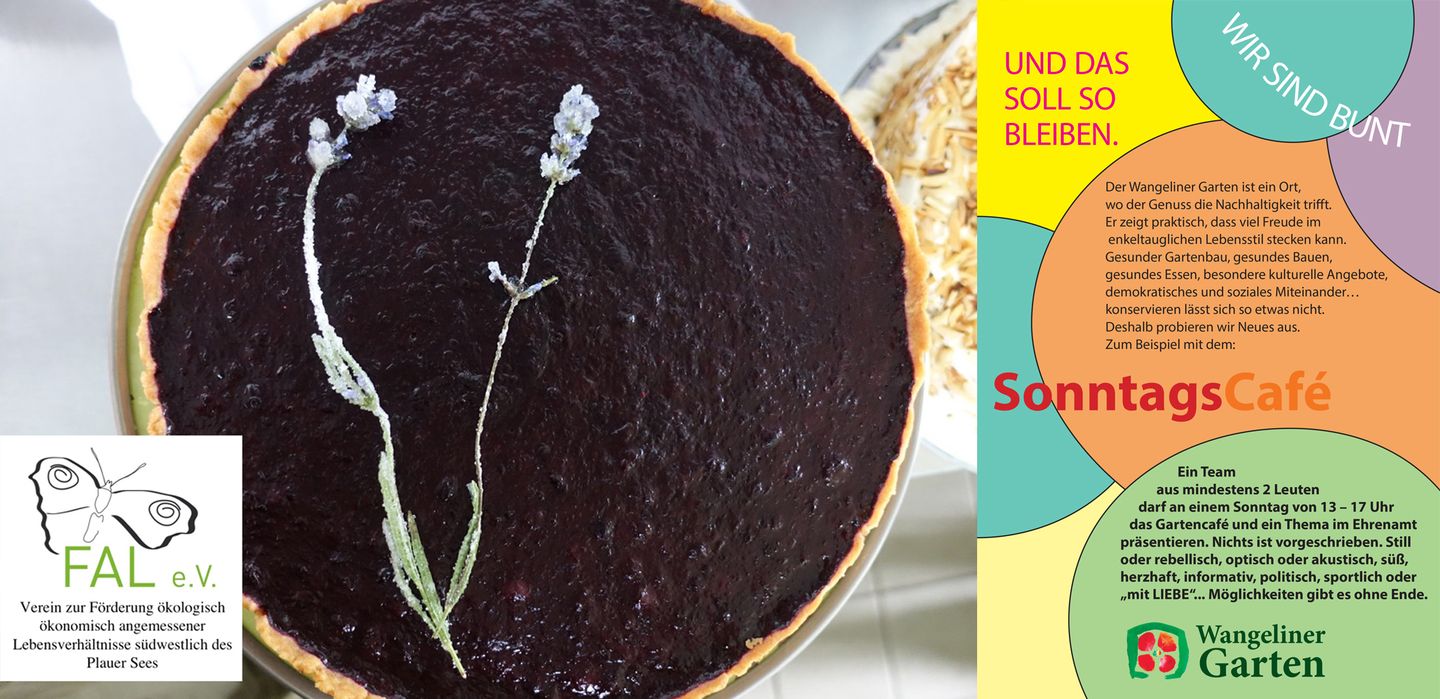 Bild einer leckeren Torte mit Fruchtspiegel und einer eingelegten Blüte