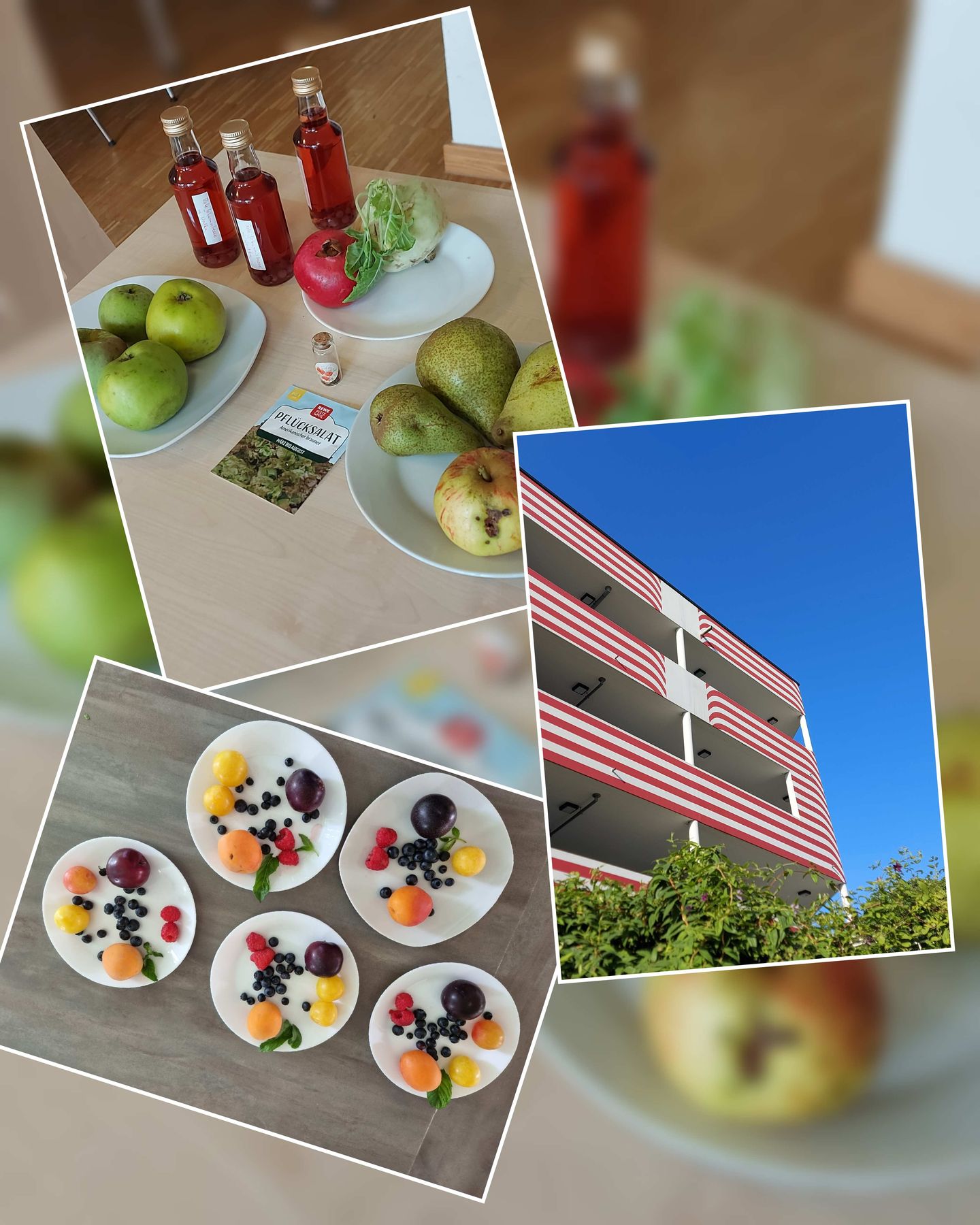 Auf dem Foto ist eine Collage mit der Fassade des Bielefelder Modells sowie leckere Speisen zusehen