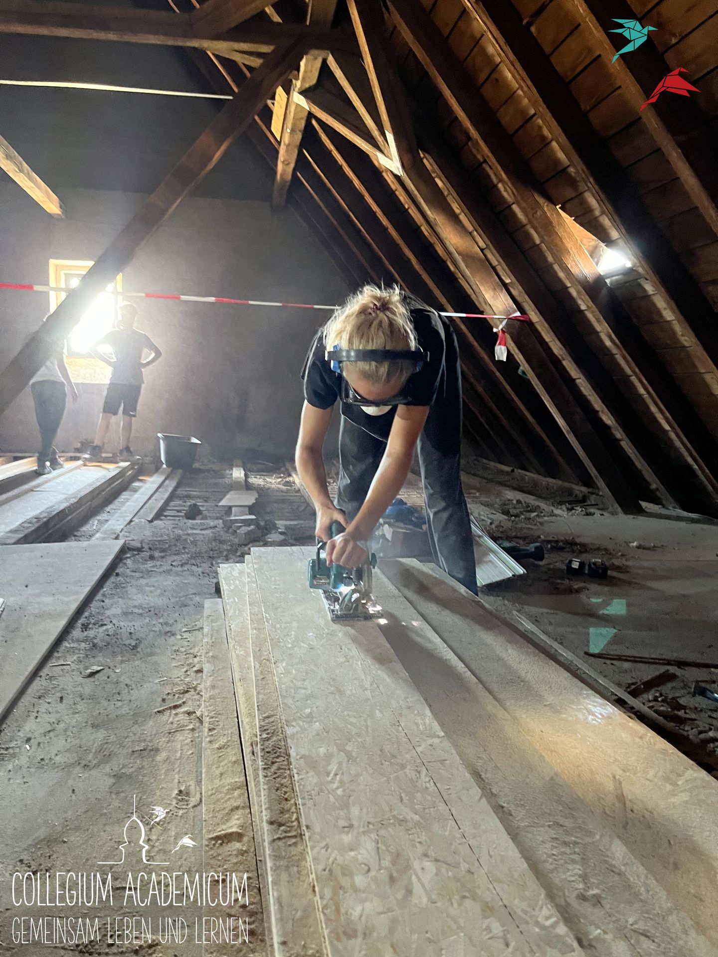 Das Bild wurde auf einem Dachboden aufgenommen. Rechts ist eine Dachschräge aus Holz zu erkennen, in der Mitte des Bildes ein Holzpfeiler. Im Hintergrund des Bildes ist ein Fenster zu sehen, aus dem Licht in den Raum scheint. Im Vordergrund ist ein junger Mensch erkennbar, der sich gerade auf eine elektrische Säge stützt, mit der er gerade ein Holzbrett zersägt, das auf einem Stapel weiterer Bretter liegt. Im Hintergrund, vor dem Fenster, unterhalten sich zwei Personen.  Unten links im Bild ist das Logo des CA zu erkennen: ein kleines Türmchen auf einem Dach, daneben zwei gefaltete Vögel, welche nach rechts fliegen. Darunter steht in Großbuchstaben "Collegium Academicum - Zusammen leben und lernen". In der oberen rechten Ecke des Bildes gibt es noch einmal die gefalteten Vögel zu sehen, einer rot, der andere blau.
