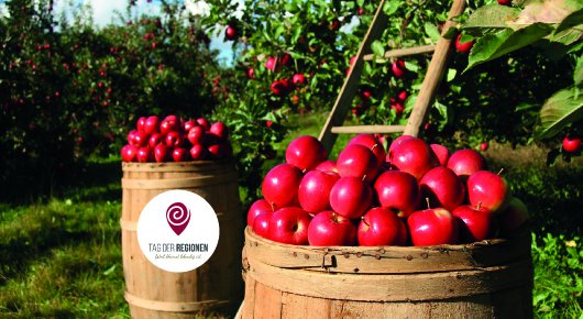 Zwei übervolle Holzfässer mit roten Äpfeln vor Apfelbäumen und einer Leiter angelehnt an einen Apfelbaum als Symbolbild für die üppige Apfelernte. Auf einer Holztonne ist das Logo vom Tag der Regionen.