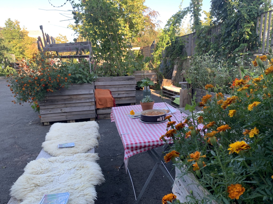 Das Bild zeigt unseren Garten Znack Zity, den die Aktiven für die Gäste vorbereitet haben
