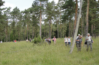 Exkursion in den Wald